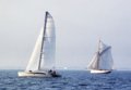 fig-19 thumbnail